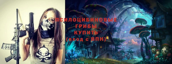бутират Осинники
